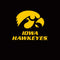 University of Iowa Hawkeyes Amazon Echo Buds Skin