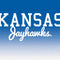 University of Kansas Jayhawks Wii (Includes 1 Controller) Skin