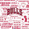 NBA Chicago Bulls Historic Blast G203 Prodigy RGB Wired Gaming Mouse Skin