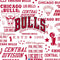 NBA Chicago Bulls Historic Blast Beats Solo Pro Skin