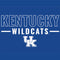 University of Kentucky Wildcats iPhone 14 Pro Folio Case