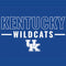 University of Kentucky Wildcats Apple Pencil (2nd Gen 2019) Skin