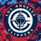 NBA LA Clippers Digi Camo Wii (Includes 1 Controller) Skin
