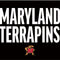 University of Maryland Terrapins Athletic Marks iPhone 7 Folio Case