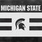 Michigan State University Black and White Stripes Xbox Adaptive Controller Skin
