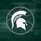 Michigan State University Basketball Courtside Beats Solo Pro Skin