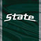 Michigan State University Jersey Grey Surface Go Skin
