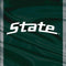 Michigan State University Jersey Grey Xbox Adaptive Controller Skin