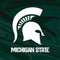 Michigan State University Away Grey Jersey Steam Deck Handheld Gaming Computer OLED Skin