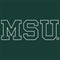 Michigan State University MSU Letters Amazon Echo Buds Skin