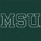 Michigan State University MSU Letters Google Pixelbook Go Skin