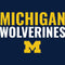 University of Michigan Wolverines M iPhone 8 Folio Case