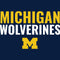 University of Michigan Wolverines M iPhone 13 Folio Case