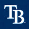 MLB Tampa Bay Rays - Solid Distressed iPhone 14 Pro Max Folio Case