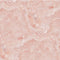 Crystal Pink G203 Prodigy RGB Wired Gaming Mouse Skin