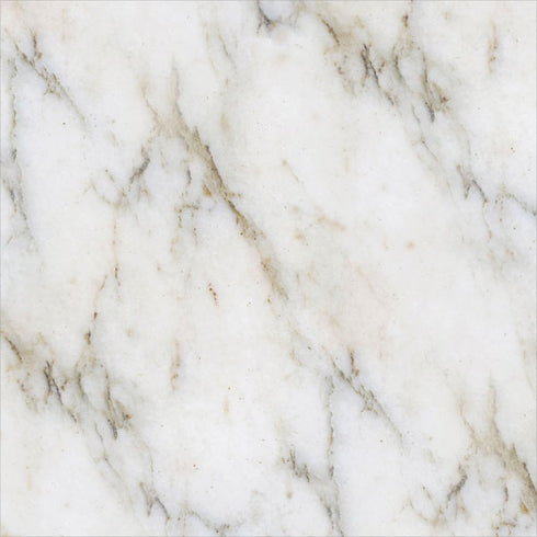 Ivory Taupe Bose SoundLink Mini Speaker II Skin