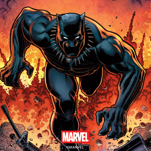 Marvel Black Panther Rise of Black Panther Wii (Includes 1 Controller) Skin