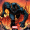 Marvel Black Panther Rise of Black Panther Wii (Includes 1 Controller) Skin