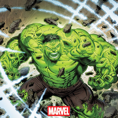Marvel Hulk Green Goliath Galaxy S25 Ultra Skin