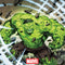 Marvel Hulk Green Goliath Galaxy S25 Ultra Skin