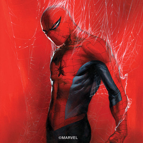 Marvel Spiderman The Amazing Spiderman Galaxy S25 Plus Skin