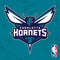 NBA Charlotte Hornets Distressed Wii (Includes 1 Controller) Skin