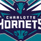NBA Charlotte Hornets Large Logo Beats Solo 2 Wireless Skin
