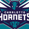 NBA Charlotte Hornets Large Logo Beats Solo Pro Skin