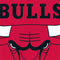 NBA Chicago Bulls Large Logo Beats Solo 2 Wireless Skin