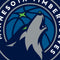 NBA Minnesota Timberwolves Large Logo Beats Solo 2 Wireless Skin