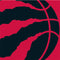 NBA Toronto Raptors Large Logo Beats Solo 2 Wireless Skin