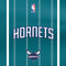 NBA Charlotte Hornets Jersey Xbox 360 Slim (2010) Skin