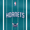 NBA Charlotte Hornets Jersey Galaxy Z Fold4 5G Clear Case