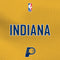 NBA Indiana Pacers Jersey Wii (Includes 1 Controller) Skin
