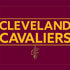 NBA Cleveland Cavaliers Standard - Maroon iPhone 15 Skin