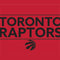 NBA Toronto Raptors Standard - Red Surface Go Skin