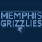 NBA Memphis Grizzlies Standard - Blue Amazon Echo Buds Skin