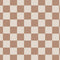 Neutral Checkered iPhone 14 Pro Max Folio Case