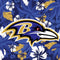 NFL Baltimore Ravens Tropical Print Steam Deck Handheld Gaming Computer OLED Skin