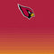 NFL Arizona Cardinals Breakaway Amazon Echo Buds Skin