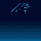 NFL Carolina Panthers Breakaway Amazon Echo Buds Skin