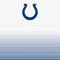 NFL Indianapolis Colts Breakaway Amazon Echo Buds Skin