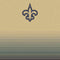 NFL New Orleans Saints Breakaway Amazon Echo Buds Skin
