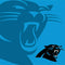 NFL Carolina Panthers Double Vision Galaxy Buds Live Skin