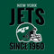 NFL New York Jets Helmet Apple AirPods (3rd Gen 2021) Skin