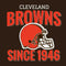 NFL Cleveland Browns Helmet Beats Solo Pro Skin