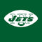 NFL New York Jets Retro Logo Amazon Echo Buds Skin