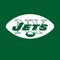 NFL New York Jets Retro Logo Apple Pencil (1st Gen, 2017) Skin