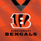 NFL Cincinnati Bengals Team Jersey Amazon Echo Buds Skin