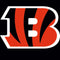 NFL Cincinnati Bengals Large Logo Amazon Echo Buds Skin
